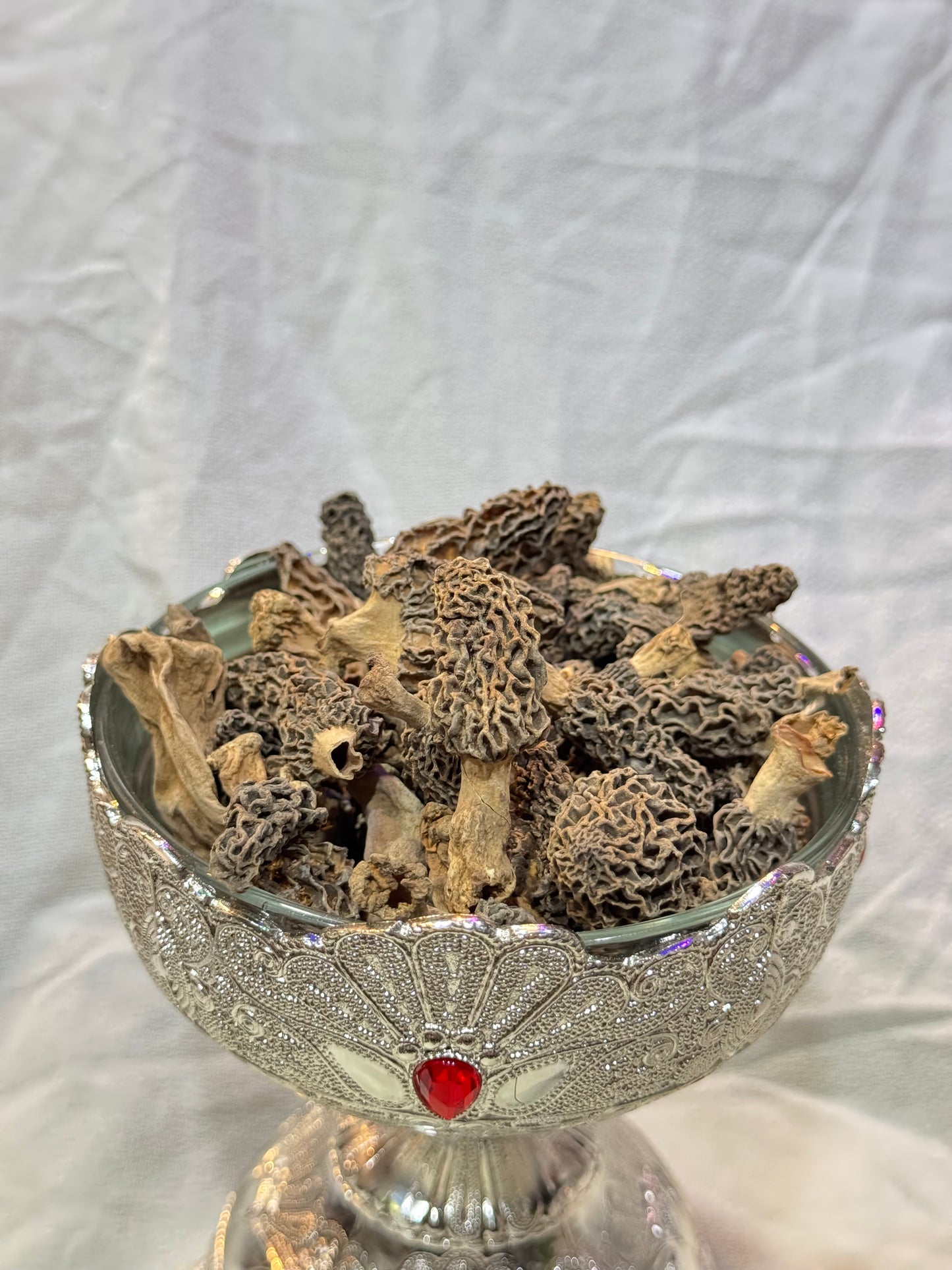 Kashmiri Guchchi (Morel Mushrooms) – The Himalayan Treasure