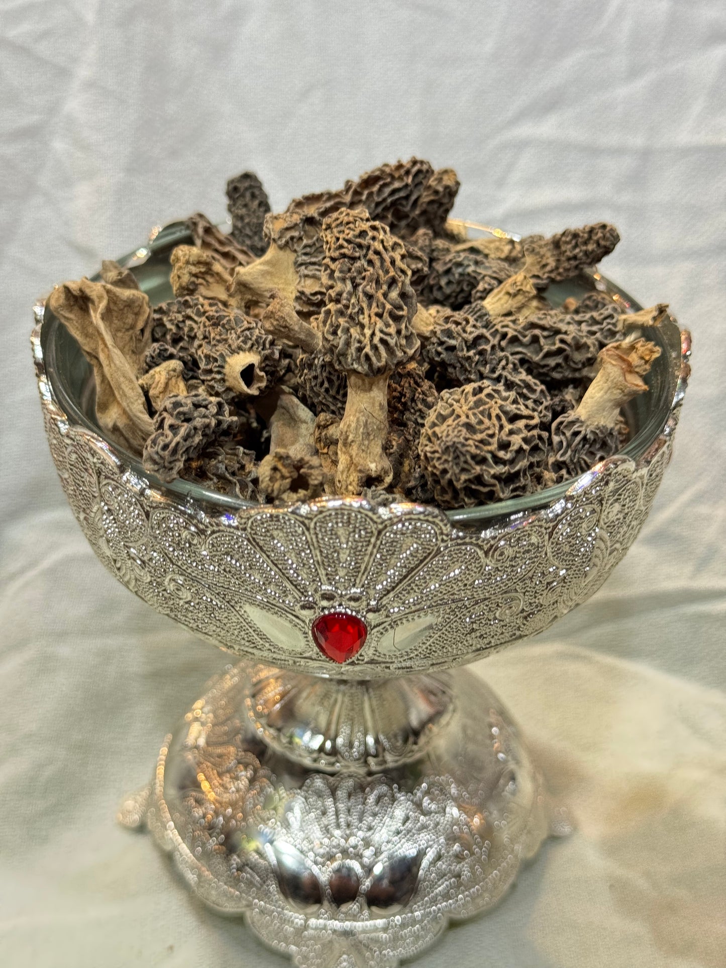 Kashmiri Guchchi (Morel Mushrooms) – The Himalayan Treasure