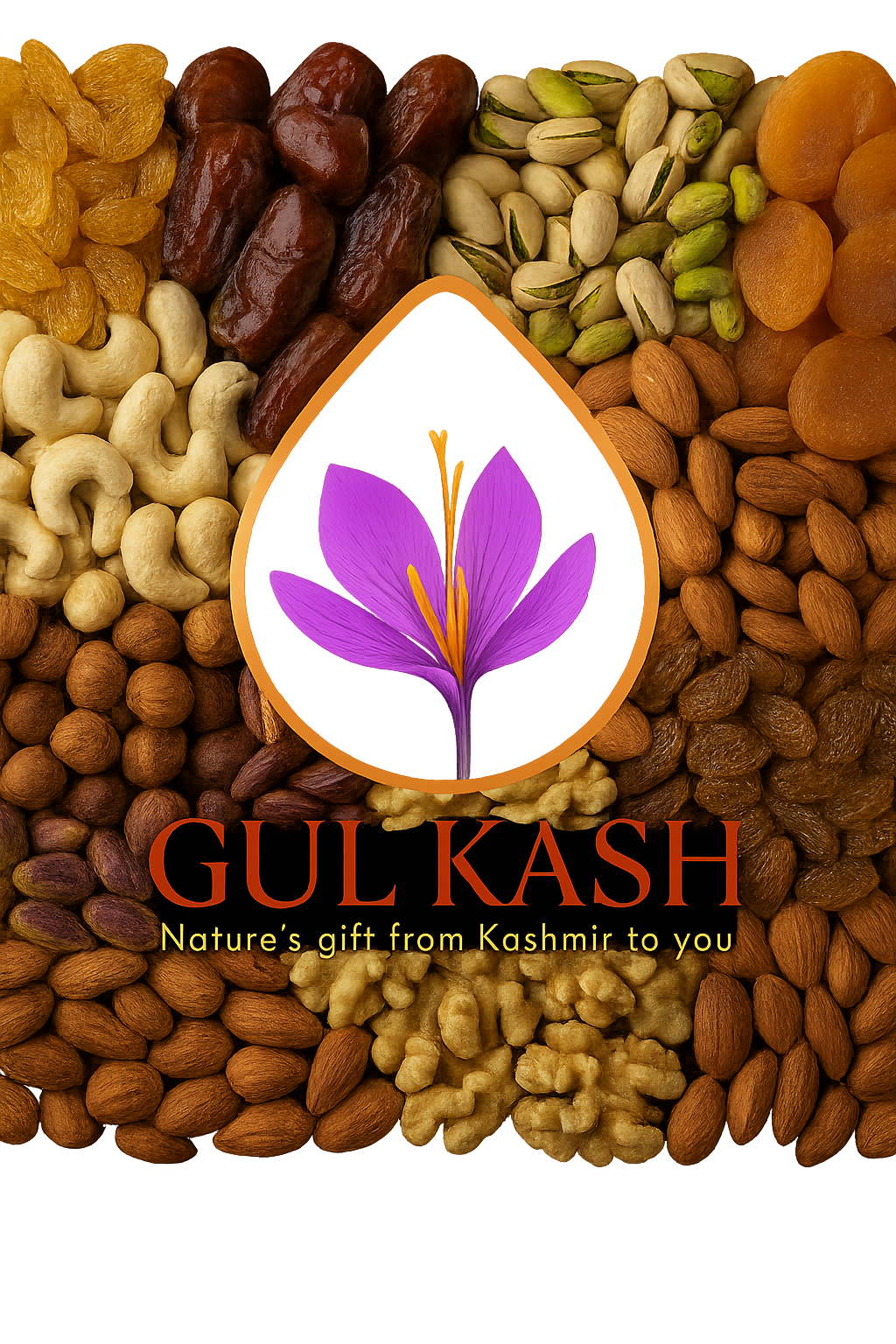 Premium Mixed Dry Fruits