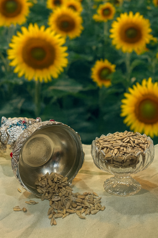 GUL KASH Sunflower Seeds – Nature’s Golden Crunch