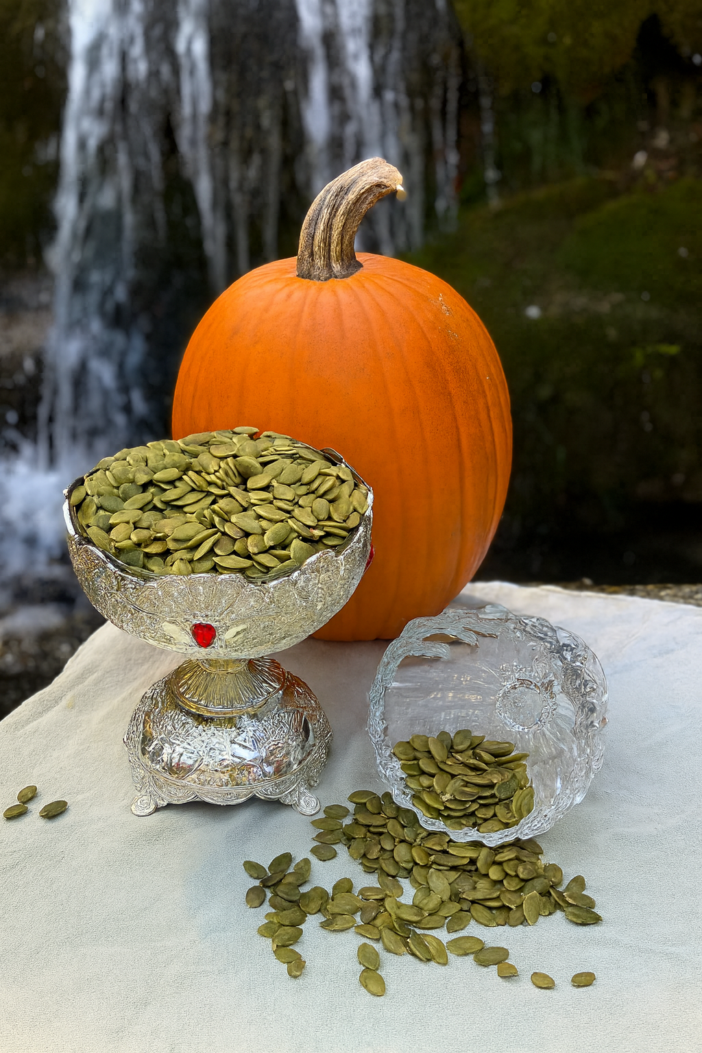 GUL KASH Pumpkin Seeds – The Superfood for Everyday Wellness 🎃🌿
